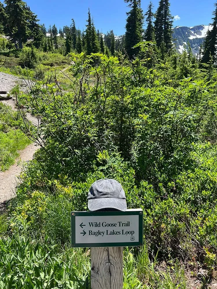 Hiking at Mt. Baker